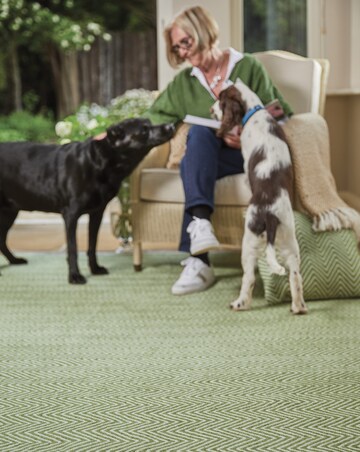 Woven Herringbone Indoor/Outdoor Rug