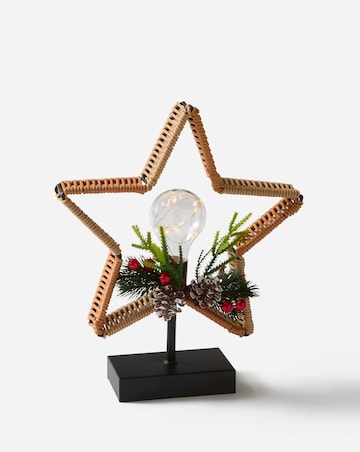Star Wicker Bulb with Floristry Light