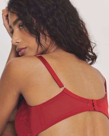 Pretty Secrets Padded Plunge Lace Push Up Bra (B-F) Dark Red