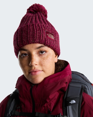 The North Face Cozy Chunky Cabin Beanie