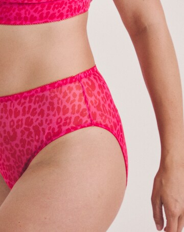 Lemonade Dolls Leopard Mesh Brief Pink
