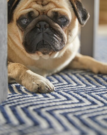 Woven Herringbone Indoor/Outdoor Rug