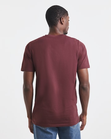 Pure Cotton V Neck T-Shirt Long