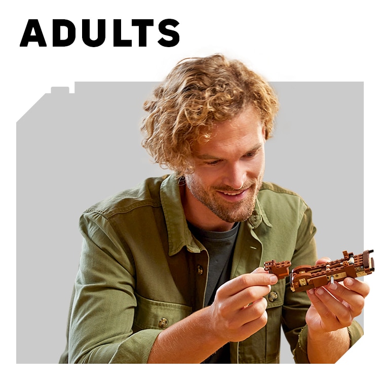LEGO for adults