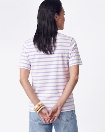 3 Pack V Neck T-Shirts
