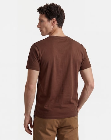Pure Cotton V Neck T-Shirt Long