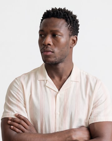 Revere Collar Linen Blend Stripe Shirt