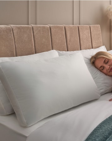 Silentnight Hotel Collection Luxe Cotton Box Pillow