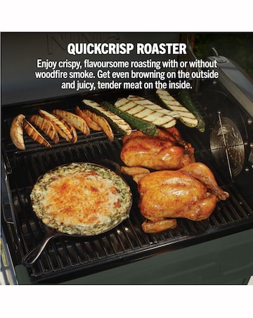 Ninja FlexFlame Outdoor Cooking System PG301UK Green