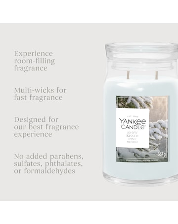 Yankee Candle Signature Large Snow Kissed Pine
