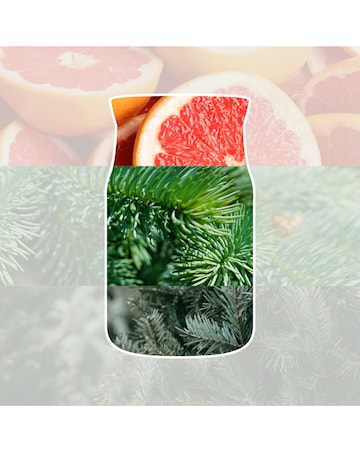 Yankee Candle Signature Large White Spruce & Grapefruit