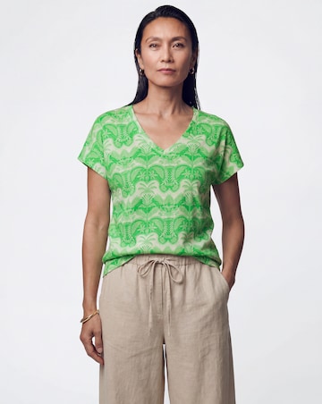 The V Neck Cotton T-Shirt