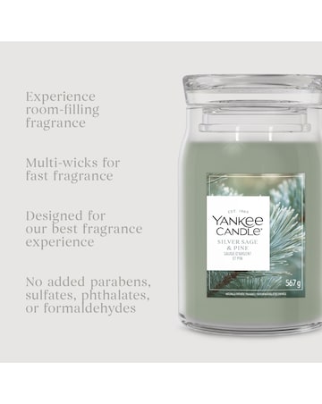 Yankee Candle Signature Large Silver Sage Pine