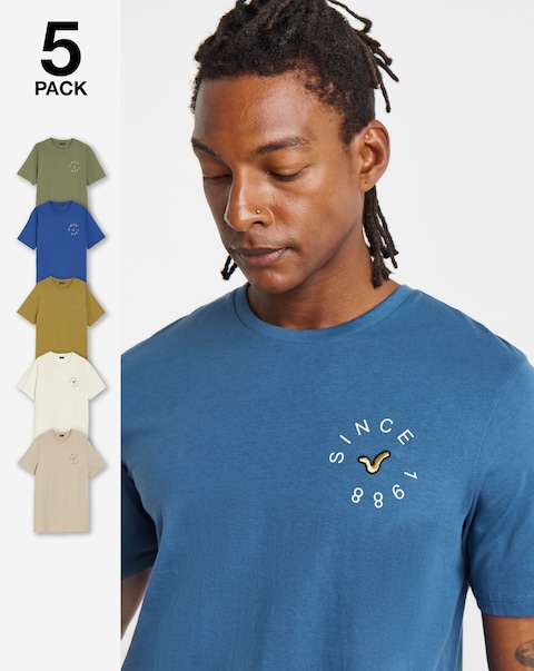 Voi  5 Pack Tshirts Long
