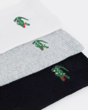 Lacoste 6 Pack Sport Socks - Multi