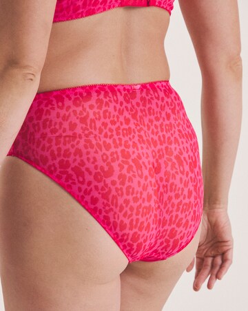 Lemonade Dolls Leopard Mesh Brief Pink