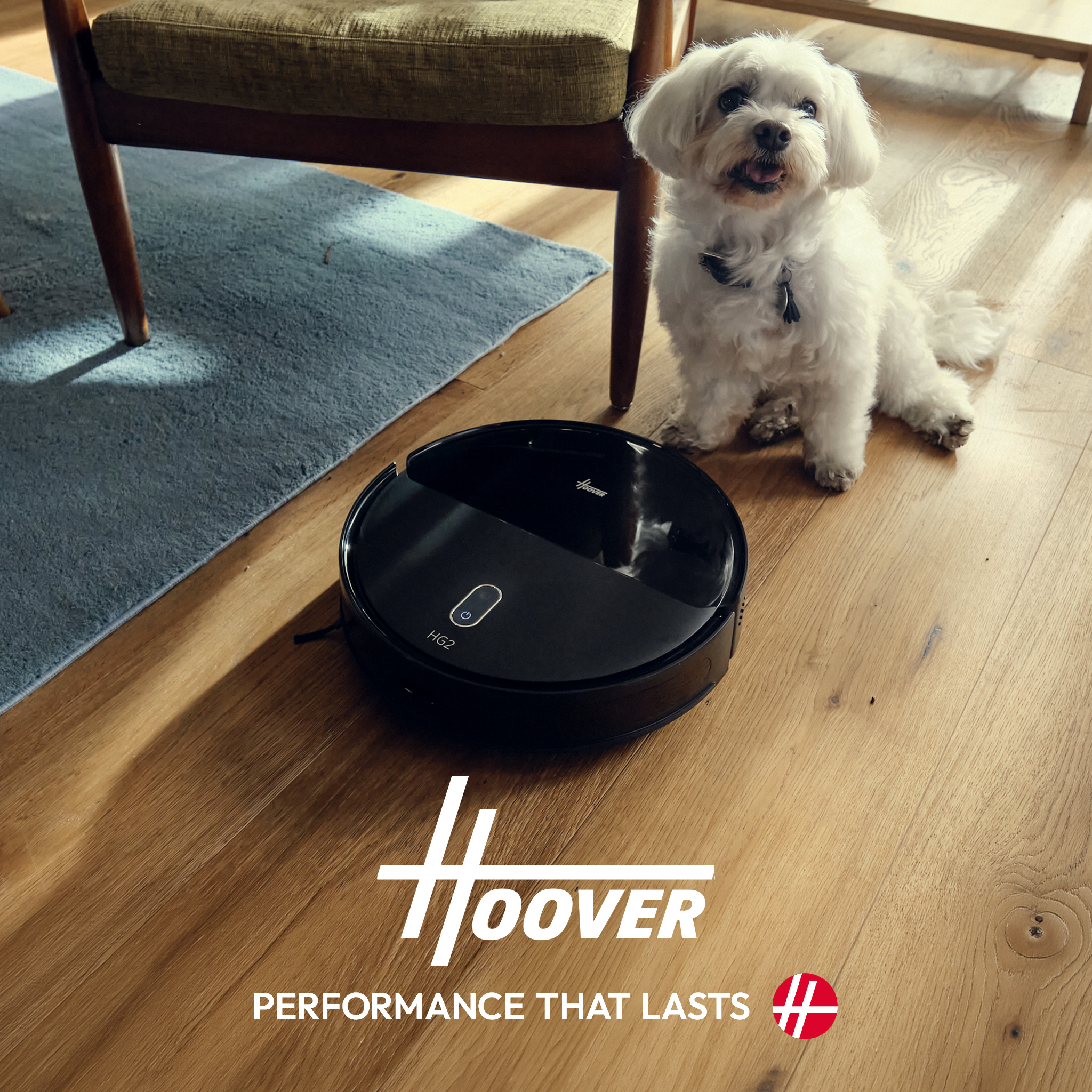 A small white dog sat down next to a black circular Hoover robot vacuum cleaner.