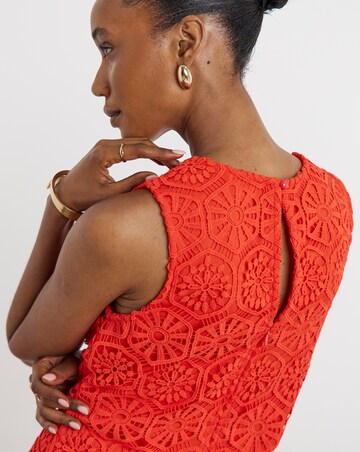 Joanna Hope Crochet Dress