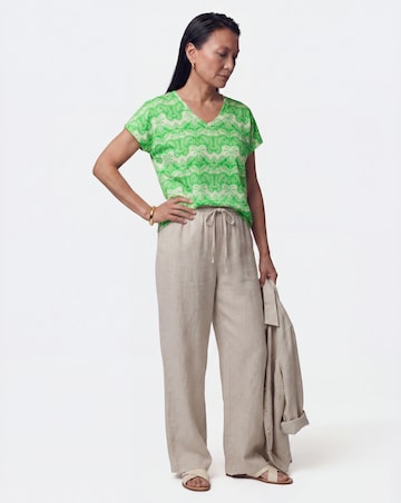 The V Neck Cotton T-Shirt