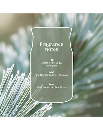 Yankee Candle Signature Large Silver Sage Pine