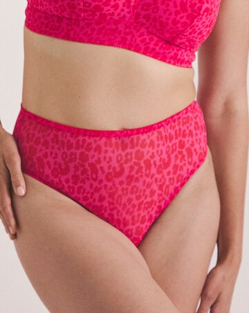 Lemonade Dolls Leopard Mesh Brief Pink