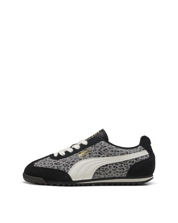 PUMA Arizona Cat Trainers