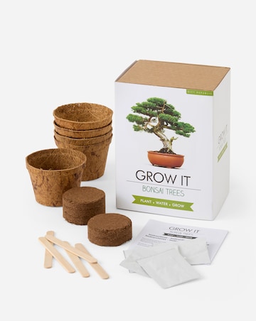 Bonsai Tree Grow It