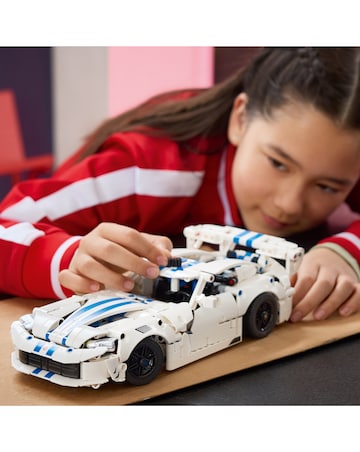 LEGO Technic Skeleton Look Car