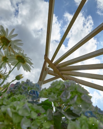 Forest Premium Radial Pergola (Home Delivery)