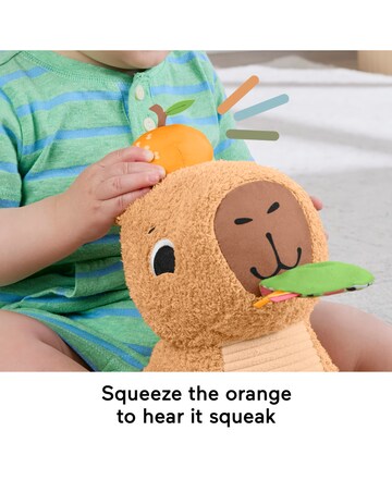 Fisher-Price Snuggly Snacky Capy
