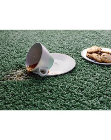 Buddy Washable & Stain Resistant Rug