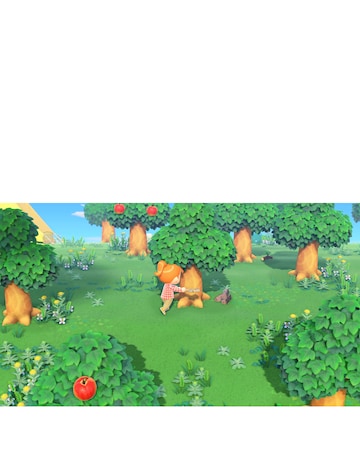 Animal Crossing New Horizons (Nintendo Switch)