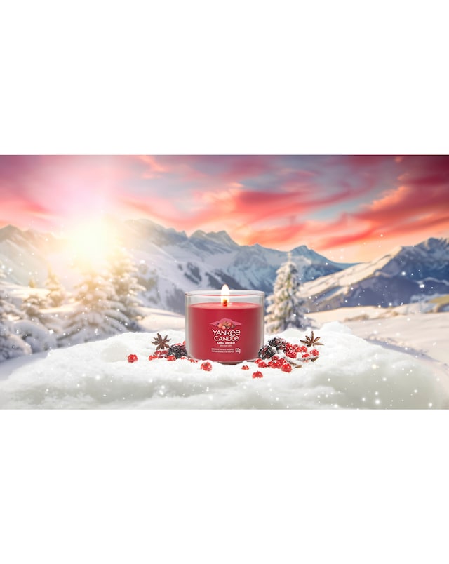 YC Signature Small Tumbler Santa Skis