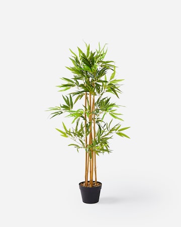 Indoor/Outdoor Bamboo Plant 1.2m