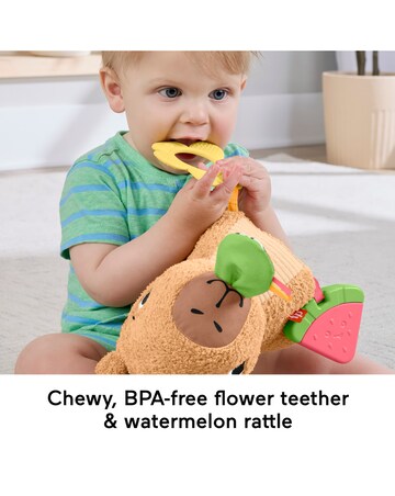 Fisher-Price Snuggly Snacky Capy