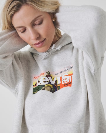 Levi's Graphic Everyday Hoodie