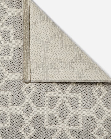 Lennox Indoor and Outdoor Rug