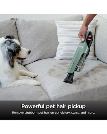 Shark Cordless HandVac