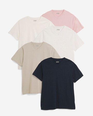 5 Pack Multi V Neck T-Shirts Reg