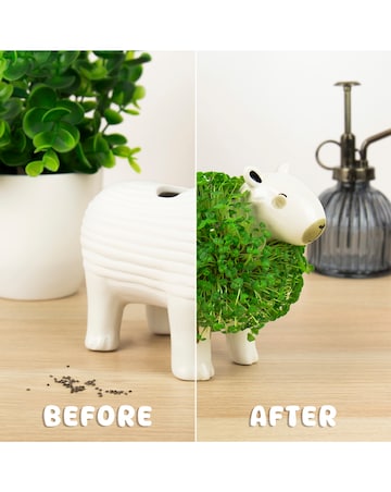 Capybara Chia Planter
