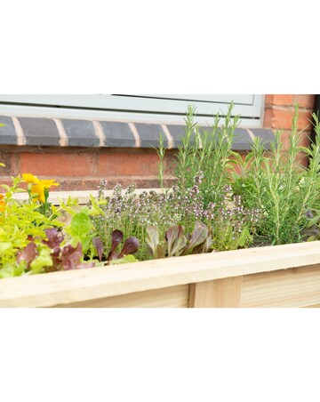 Forest Large Kitchen Garden Planter - 1.8m