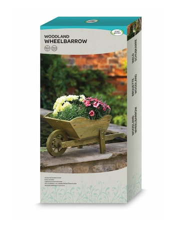 Wheelbarrow Planter