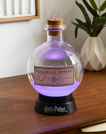 Harry Potter Large Potion Lamp - 20cm Tall
