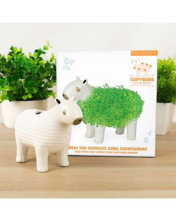Capybara Chia Planter