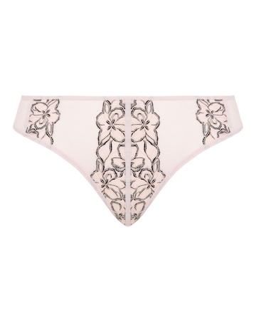 Contemporary Mesh & Lace Brief