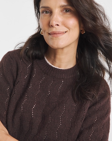 Re-luxe Brown Crew Neck Jumper