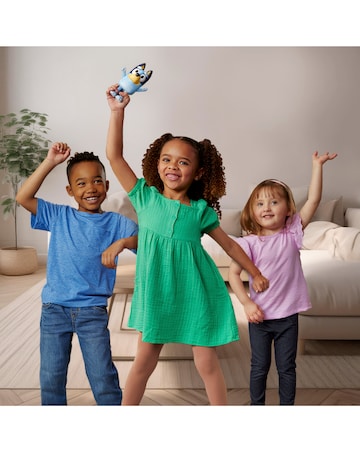 Bluey Hide & Seek Game