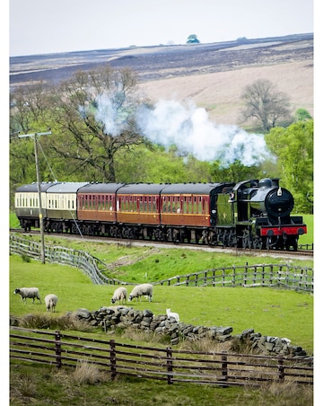 Steam Train Expererience for a Family of Four - Experience Voucher