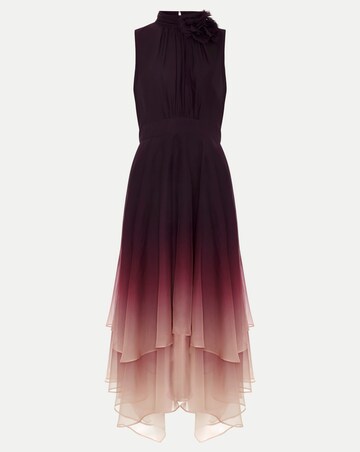 Phase Eight Maybel Ombre Corsage Chiffon Dress