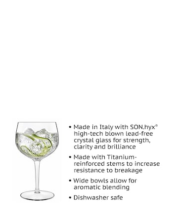 Luigi Bormioli Mixology Set Of 4 Gin Glasses